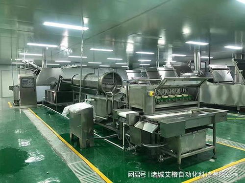 探秘諸城艾格自動化 解鎖鵪鶉蛋加工全流程設備奧秘與技術服務